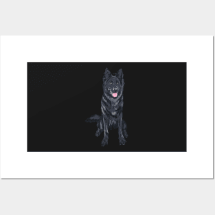 dog Belgian Shepherd Dog Posters and Art